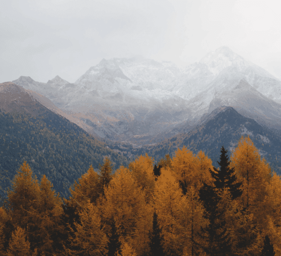 New Features in BookSpot – October 2025