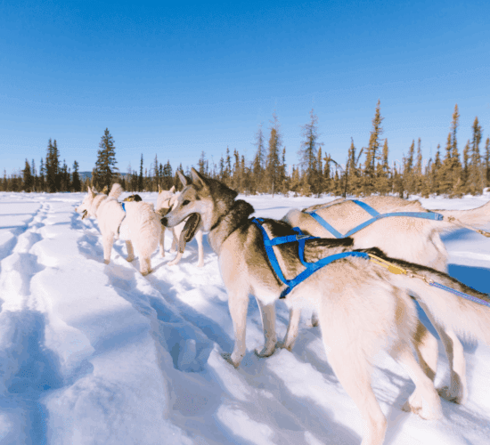 5 Smart Ways to Boost Your Bookings for Next Season