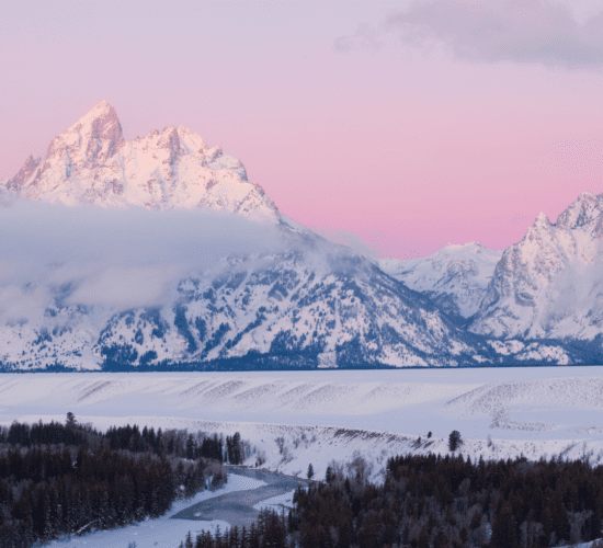 Fyra nyheter i januari 2026