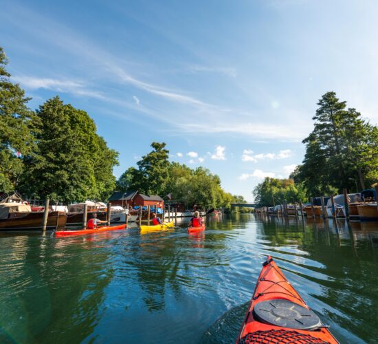 New Features | March 2026